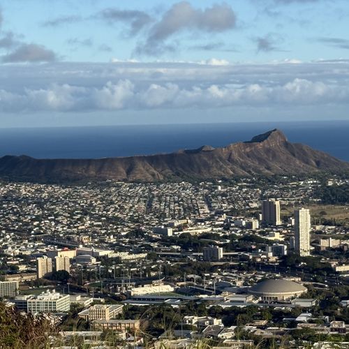 Manoa: 2026 Market Forecast & Why Buyers Are Flocking to this Lush Valley