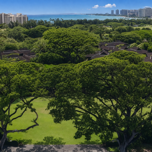 La Pietra: Where Island History Meets Everyday Island Living