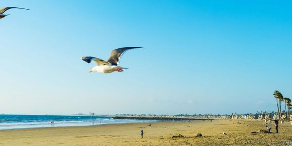 Ocean View Home in South Redondo or West …