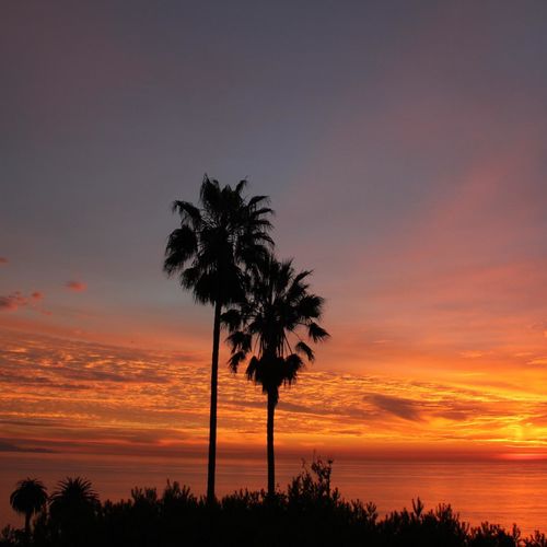 Palos Verdes Houses for Sale Virtual Tour on 8.26.18