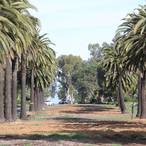 Homes for Sale in the Valmonte section of Palos Verdes Est