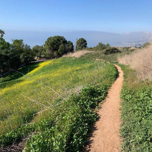 Ocean View Hiking Trails in Palos Verdes