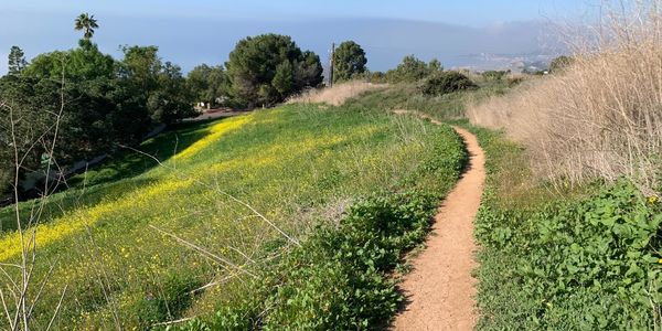 Ocean View Hiking Trails in Palos Verdes