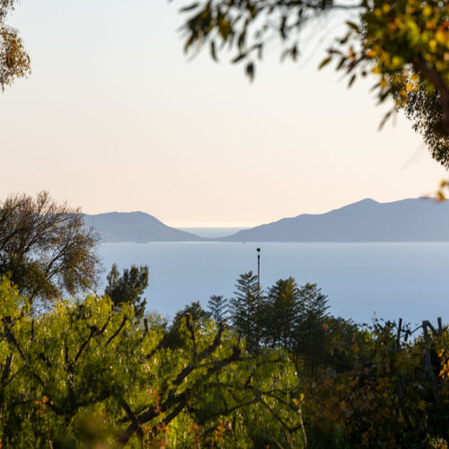 Video Walk through of Homes for Sale in Los Angeles County Palos Verdes