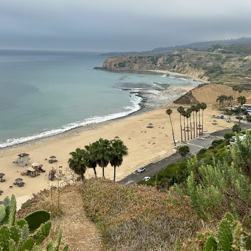 Land Movement in Palos Verdes Creates a New Beach and Uncovers Fossils in Stretch of Shoreline