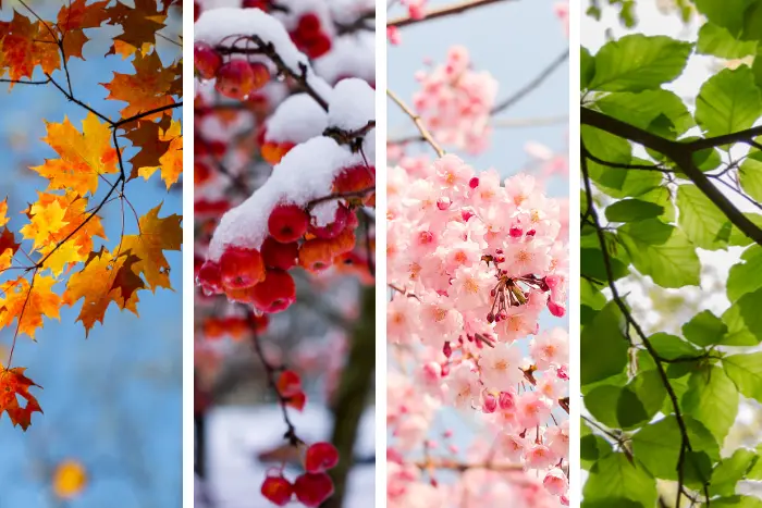 four-seasons-lees-summit