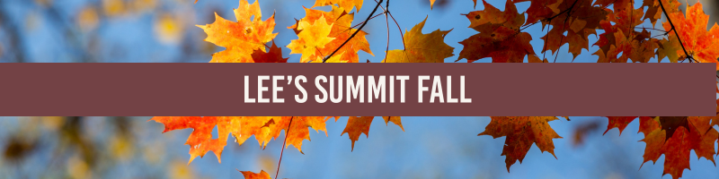 lees-summit-fall-great-missouri-homes-reece-nichols-merla-turner