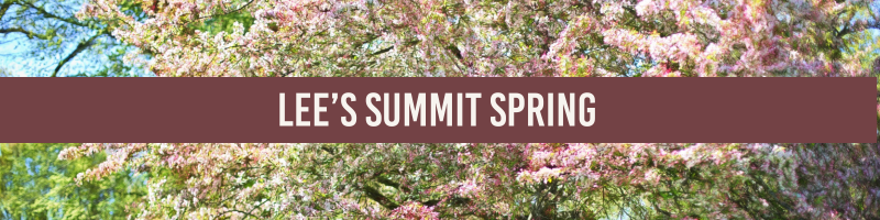 lees-summit-spring-great-missouri-homes-reece-nichols-merla-turner