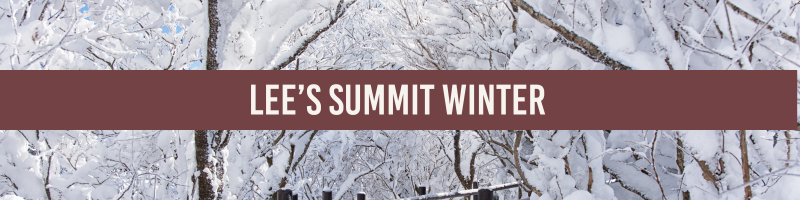 lees-summit-winter-great-missouri-homes-reece-nichols-merla-turner