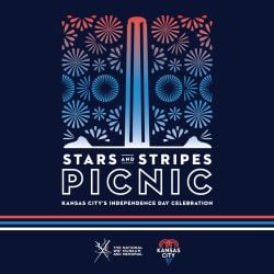 stars-stripes-picnic