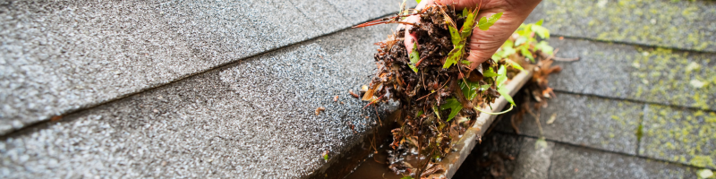 clean-gutters-lees-summit-home-advice-great-missouri-homes-reece-nichols-real-estate-merla-turner
