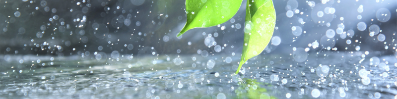 storm-rain-lees-summit-home-advice-great-missouri-homes-reece-nichols-real-estate-merla-turner