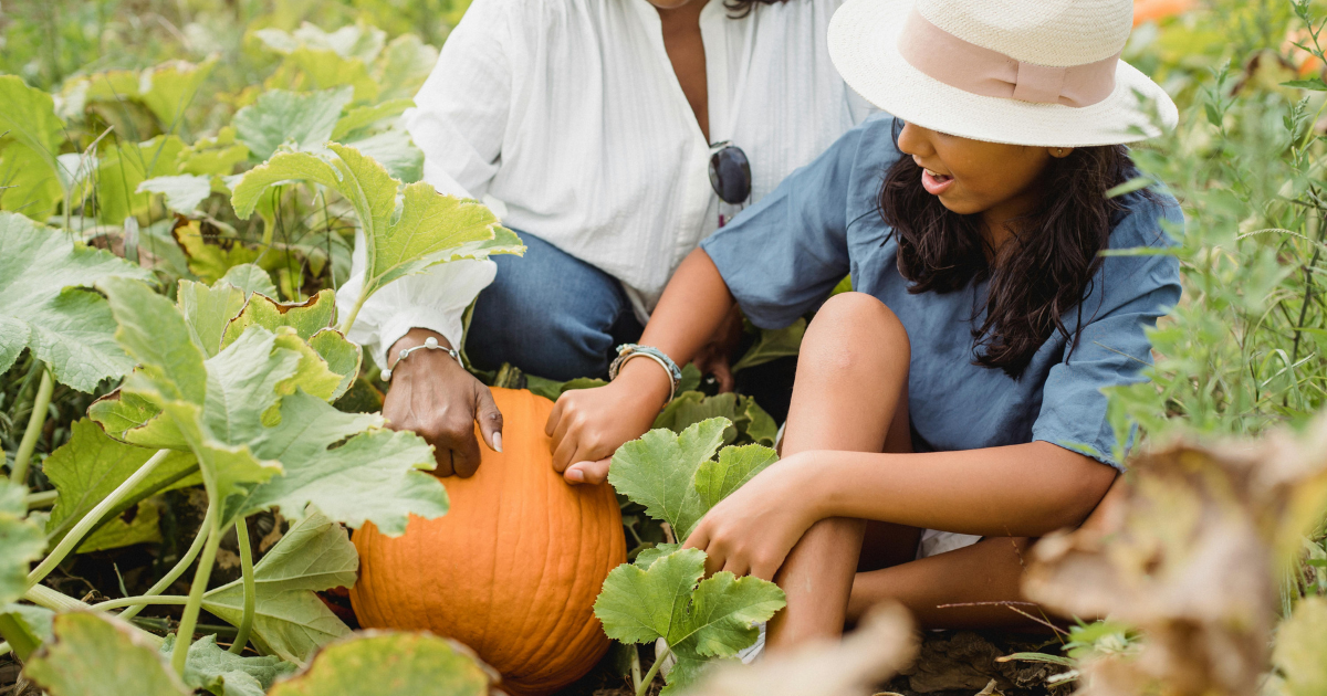 Best-Pumpkin-Patch-List-Lee's-Summit-Buy-A-Home-Merla-Turner-Great-Missouri-Homes-Reece-Nichols
