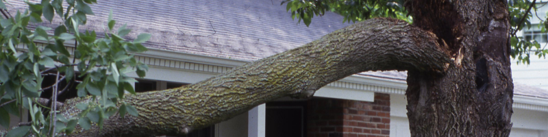 check-winter-storm-damage-lees-summit-home-advice-great-missouri-homes-reece-nichols-real-estate-merla-turner