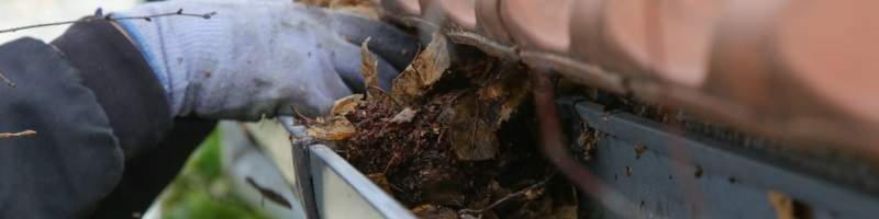 clean-gutters-spring-lees-summit-home-advice-great-missouri-homes-reece-nichols-real-estate-merla-turner