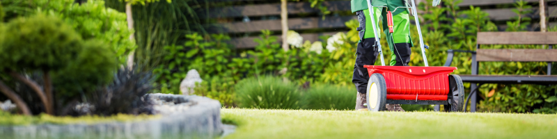 feed-and-seed-lawn-lees-summit-home-advice-great-missouri-homes-reece-nichols-real-estate-merla-turner