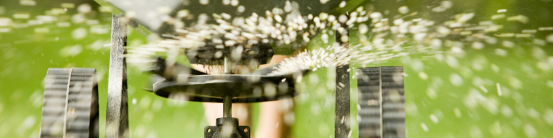 lawn-landscape-feeding-lees-summit-home-advice-great-missouri-homes-reece-nichols-real-estate-merla-turner