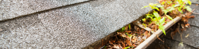 leaf-and-gutter-clean-up-lees-summit-home-advice-great-missouri-homes-reece-nichols-real-estate-merla-turner