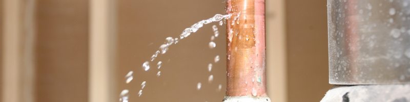 look-for-leaks-foundation-cracks-water-damage-lees-summit-home-advice-great-missouri-homes-reece-nichols-real-estate-merla-turner