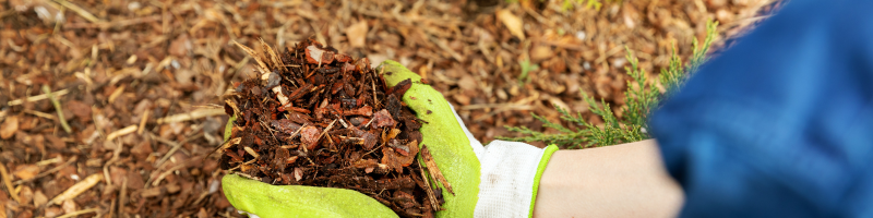 mulch-flower-vegetable-bed-lees-summit-home-advice-great-missouri-homes-reece-nichols-real-estate-merla-turner