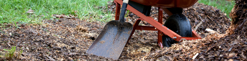 prep-yard-spring-maintenance-lees-summit-home-advice-great-missouri-homes-reece-nichols-real-estate-merla-turner
