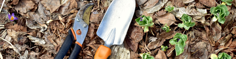 yard-spruce-up-and-mowing-lees-summit-home-advice-great-missouri-homes-reece-nichols-real-estate-merla-turner