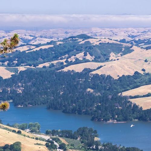 Living in Pinole, CA: A Guide for Homebuyers Considering This East Bay Community