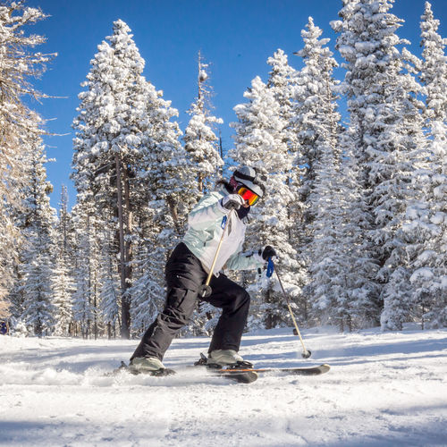 Exciting things to do in Red River, NM