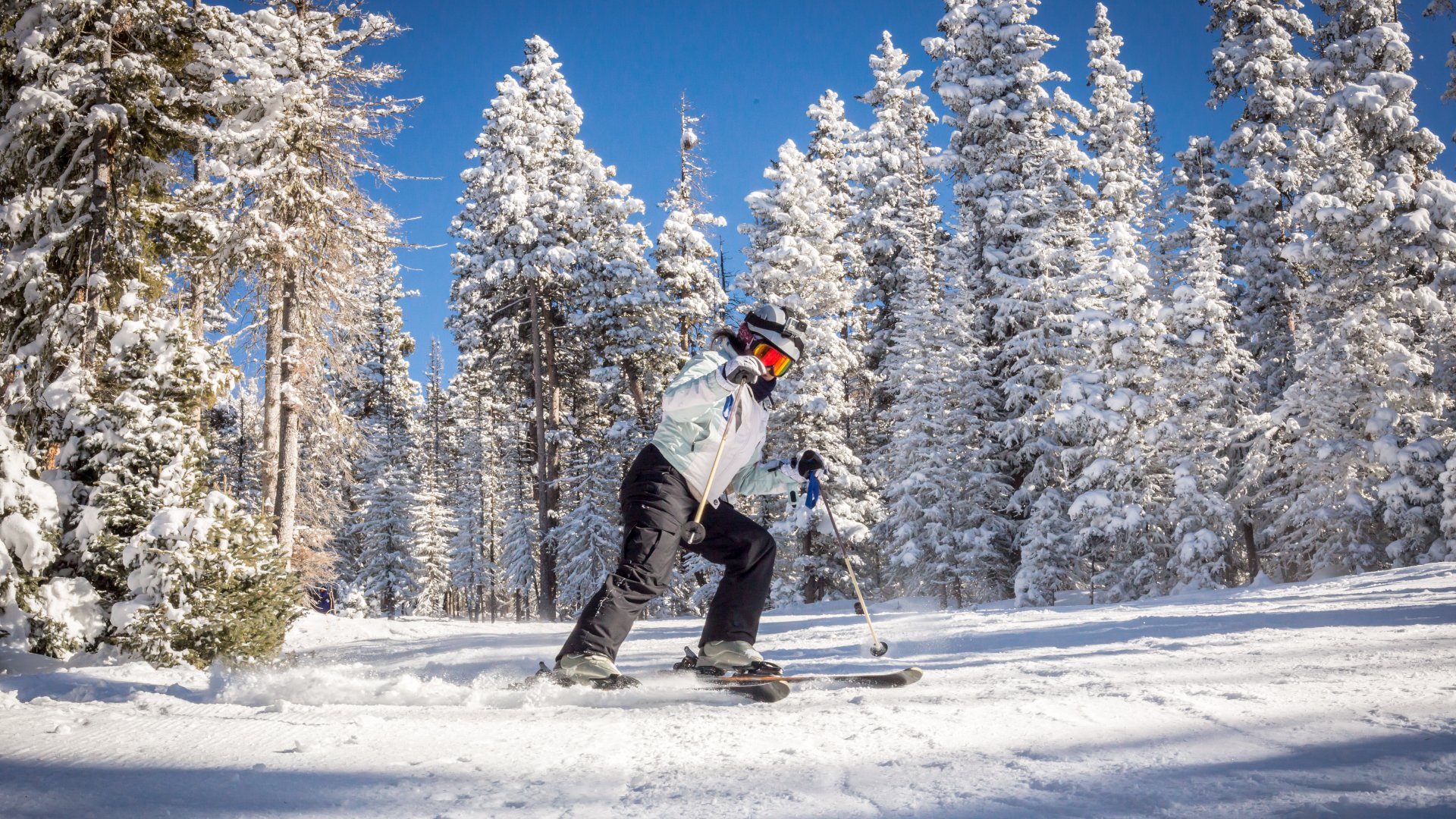 Skier in mountains