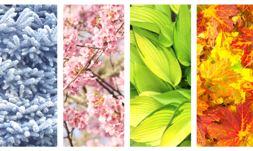How Seasonal Changes Affect the Housing Market
