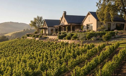 Preparing a Vineyard or Wine-Country Estat&hellip;