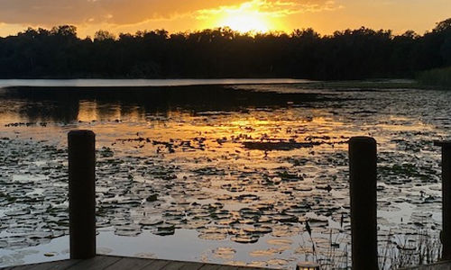 Lakefront Living in Winter Park
