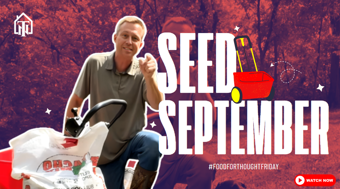 SEED SEPTEMBER