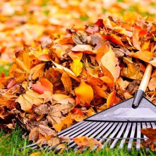 🍁 Lake Lotawana Fall Clean-Up Day: One Community, One Lake, One Goal