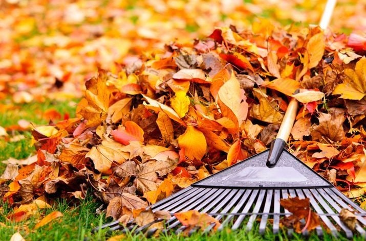 babdad2b8054044f6ab241cc58d16f85