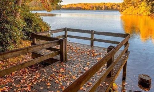 FALL CHECKLIST