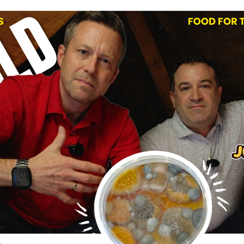 🏡 What’s Lurking in Your Attic? The Hidden Mold Problem Homeowners Should Know About