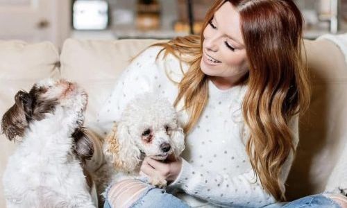 Tips to Keep Your Pet Safe this Summer