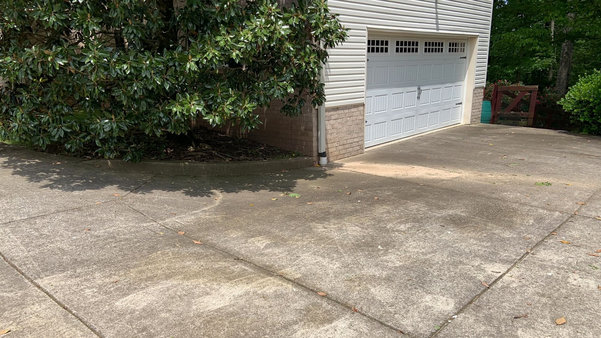 Before Image