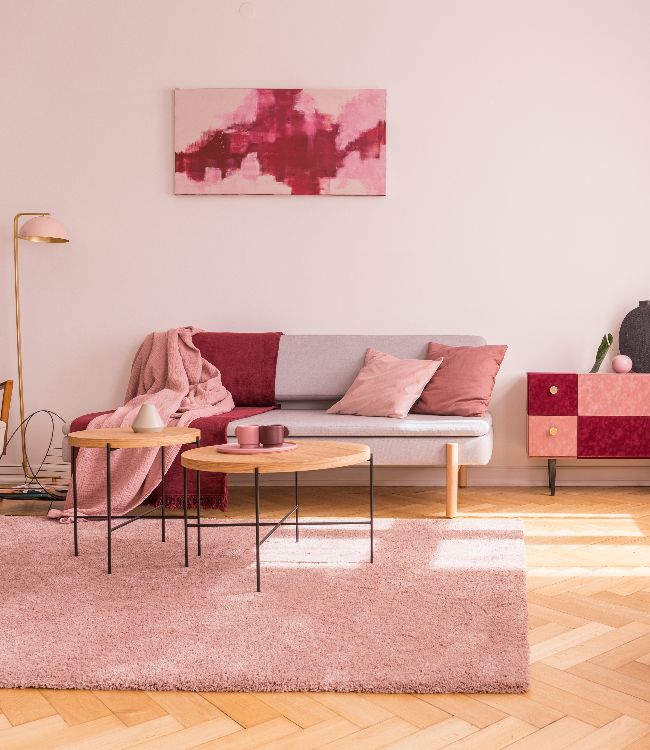 pink apartment interior with sofa(1)