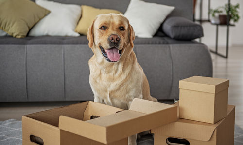 Are You Secretly Ready To Sell