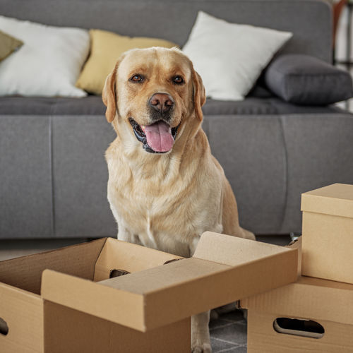 Are You Secretly Ready To Sell