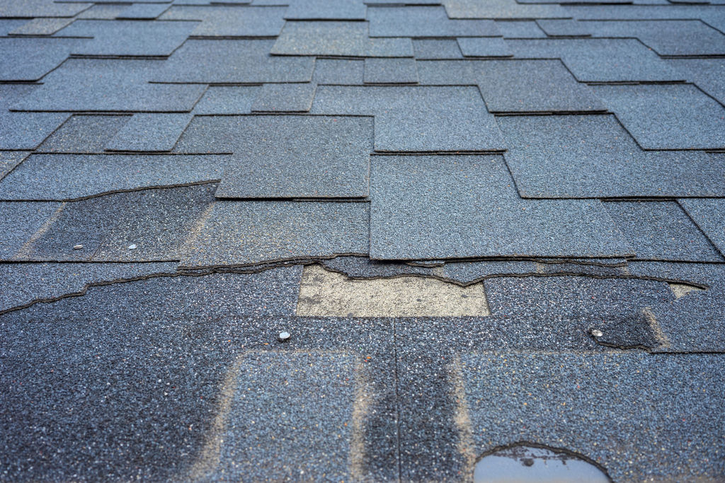Close up view of bitumen shingles roof damage that needs repair.