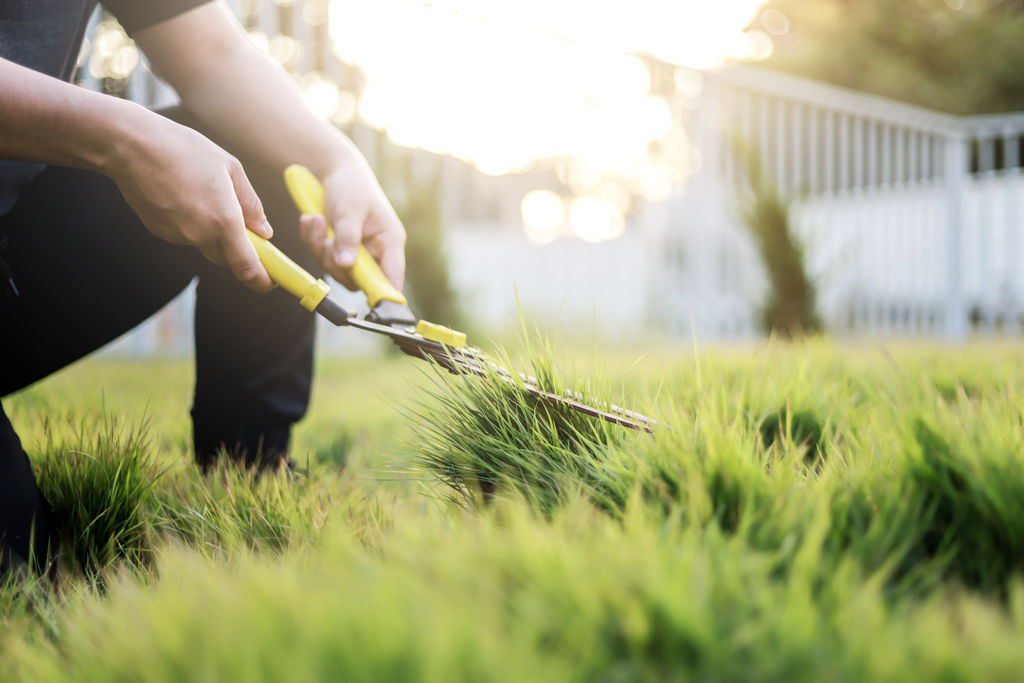 A man mowing the grass in his front yard, uses yellow grass shears, his weekend activities.