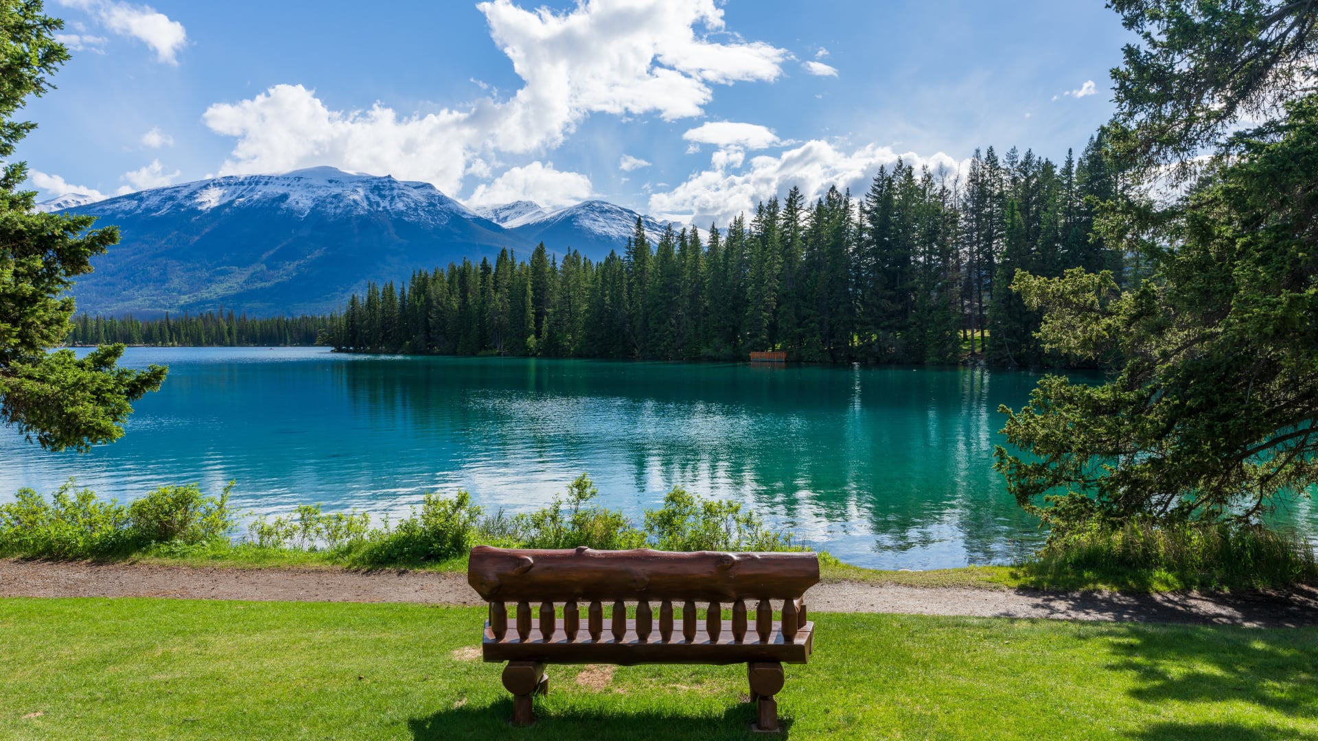 Jasper,National,Park,Summer,Landscape,,Alberta,,Canada.,Wooden,Bench,On