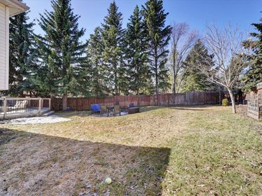 Copy of 050-Backyard