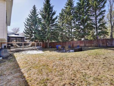 Copy of 051-Backyard