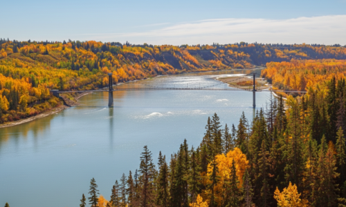 Edmonton Real Estate Market Update: October 2025