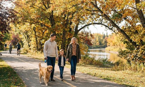 How St. Albert’s Red Willow Trail System Can Enhance Daily …