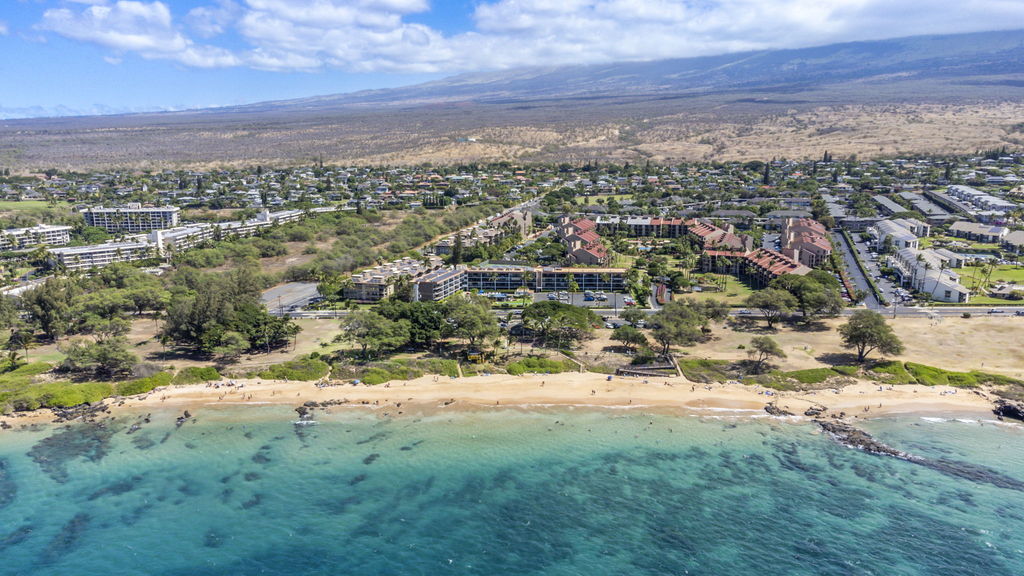 1-web-or-mls-20241020-DJI_0101-HDR